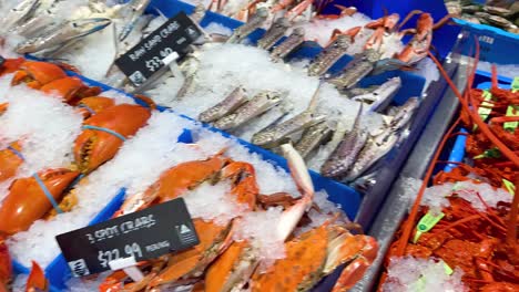 variety of seafood on ice at market