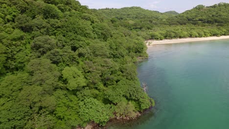 aerial truck right of dense green rainforest hillside coast revealing turquoise sea in nacascolo beach, papagayo peninsula, costa rica