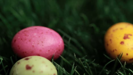 easter eggs falling in the grass