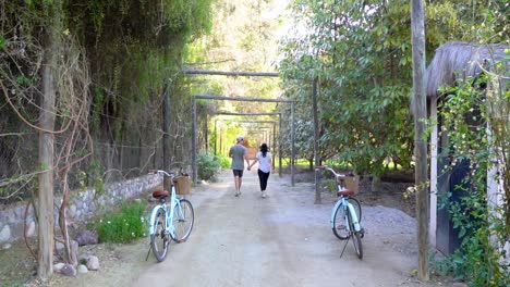 Couple-Walking-Away-through-Chilean-garden