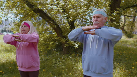 Aptitud-Atlética-Deporte-Senior-Hombre-Mujer-Abuelos-Entrenamiento-Cardio-En-El-Parque-Por-La-Mañana