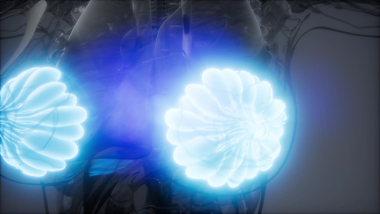 비만 여성의 유방선에 대한 의학적으로 정확한 그림