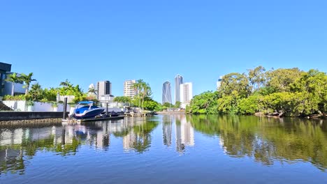 peaceful river cruise through lush gold coast scenery