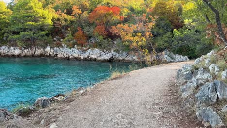 scenic hiking trail with pine trees close to the adriatic sea, between njivice and malinska, krk, croatia-2