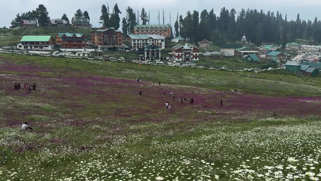 Keşmir Gulmarg'da çiçekler ve çekim yerleri, bir turistik gezi noktası