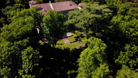 Toma-Aérea-Descendente-A-Través-De-Grandes-árboles-Que-Revelan-Muebles-De-Jardín-En-Un-Castillo.