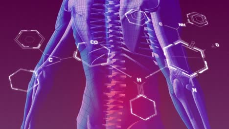 animación de fórmulas químicas sobre el modelo del cuerpo humano sobre fondo púrpura