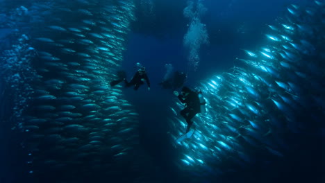 scuba divers amidst a massive school of fish underwater