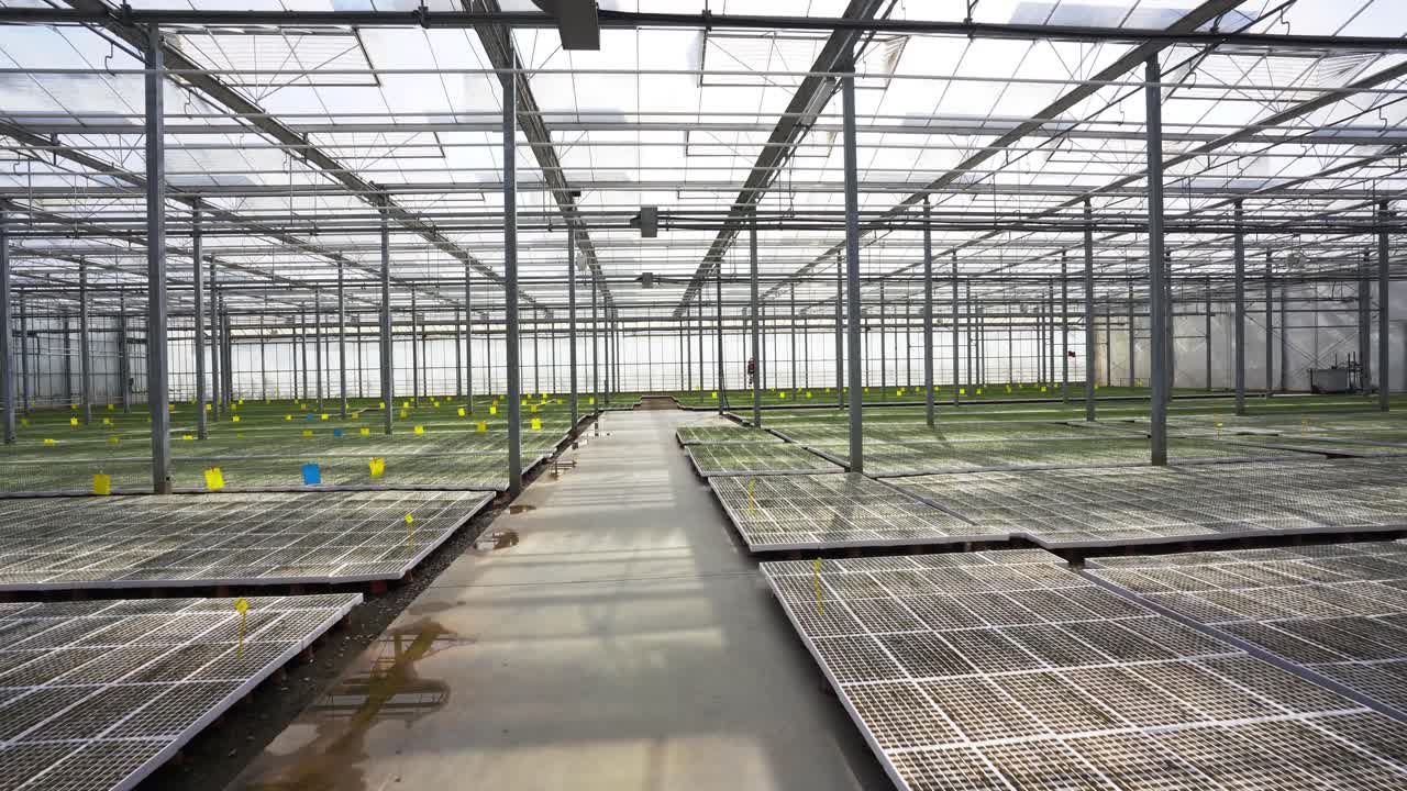 네덜란드 온실 기술: 어린이집, 유리 정원, 농업, 재배, 농업, 산업, 재배 환경에서의 식물 생산