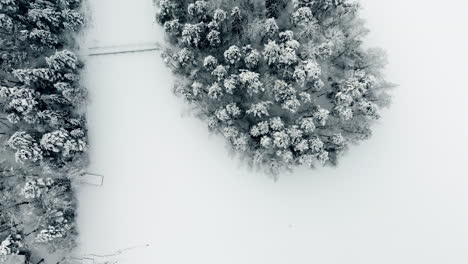 Aerial,-birdseye,-drone-shot,-over-a-island,-full-of-snow,-covered-trees,-on-Haukkalampi-pond,-surrounded-by-snowy,-ice-and-winter-forest,-on-a-cloudy-day,-in-Nuuksio-national-park,-in-Finland