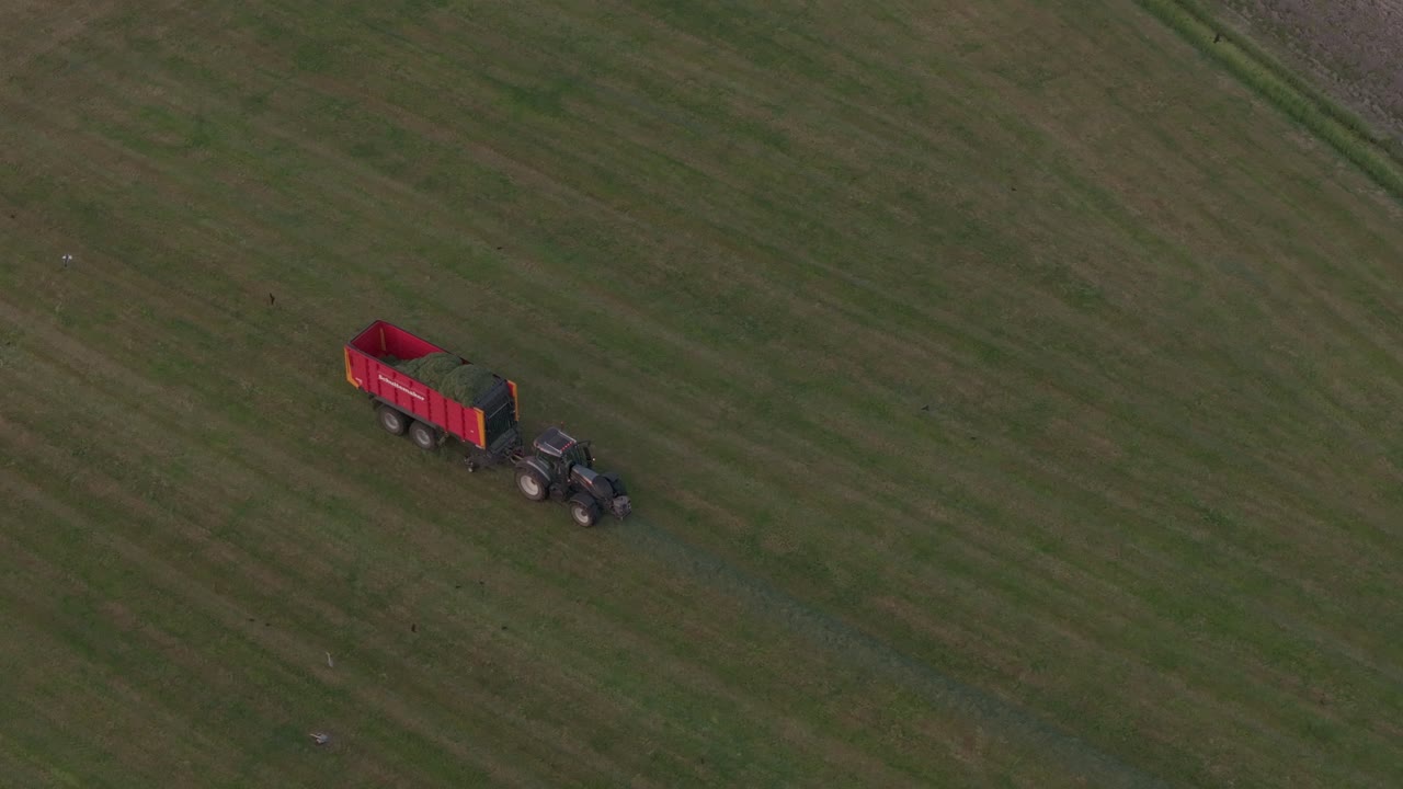 트랙터는 해가 지는 동안 땅에서 신선한 풀을 수집하고, 공중