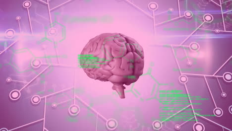 animación del cerebro humano y procesamiento de datos científicos.