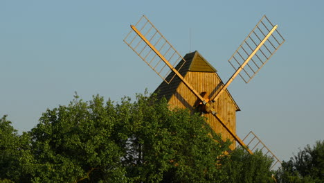 view of a wooden historic mill and its blades standing among the apple trees