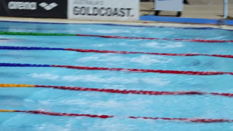 nadadores bucean y corren en una piscina de varios carriles