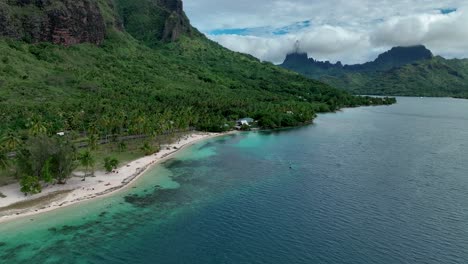 pintoresca bahía de opunohu en la isla de moorea, polinesia francesa - toma aérea de un dron