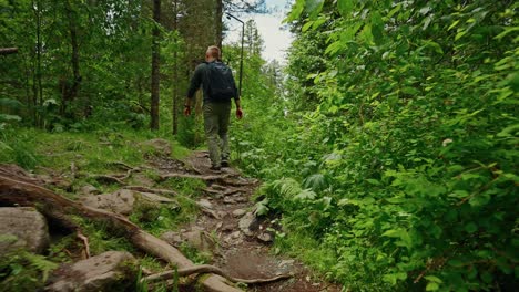 man hiking in a lush forest