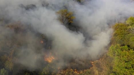 Wildfire-Destruye-Los-Bosques-Del-Pantanal-Brasileño-Durante-Una-Sequía---Vista-Aérea
