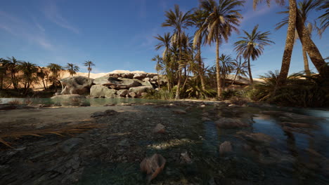 desert oasis lake pond with palm trees