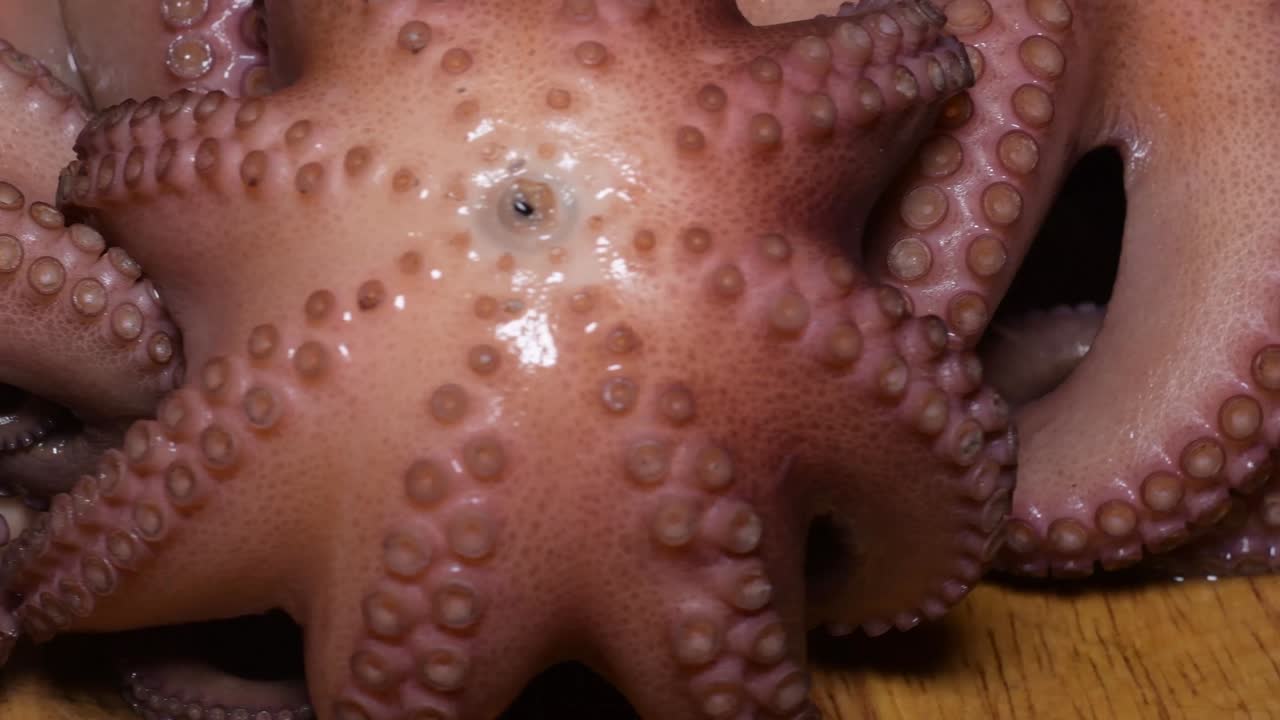 옥토푸스 (octopus) 는 식당에서 먹는 해산물이며, 식당에서 테이블 위에 준비된 해산물이다.