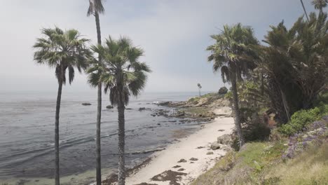 hermosa playa de la costa de california - 4k registro no clasificado