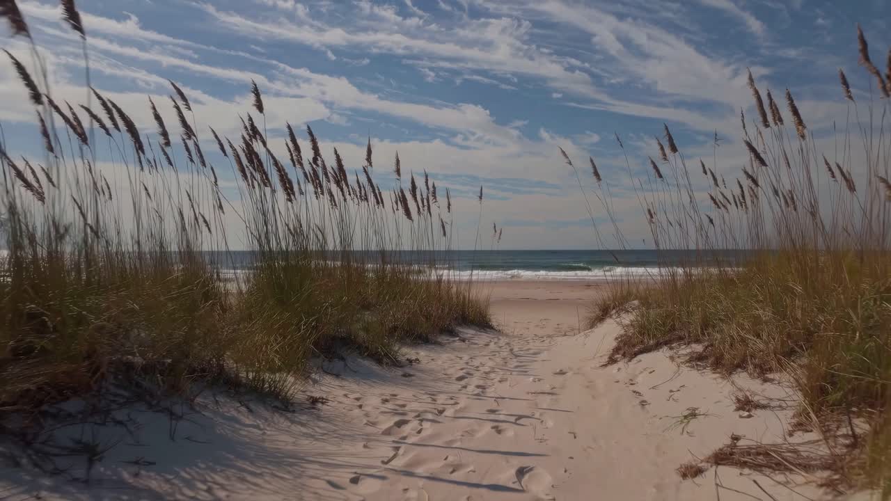 A serene beach path framed by tall grasses, leading to the ocean