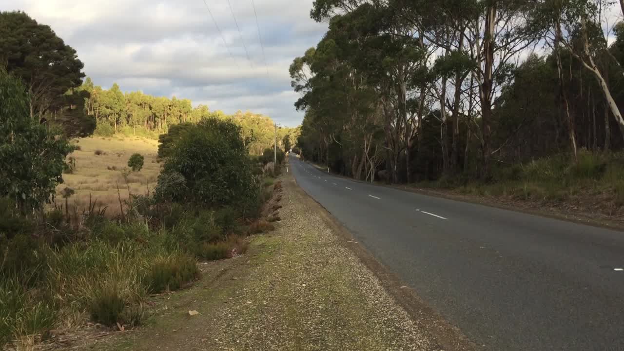 The view up an isolated bush road with a truck turning the corner at the end