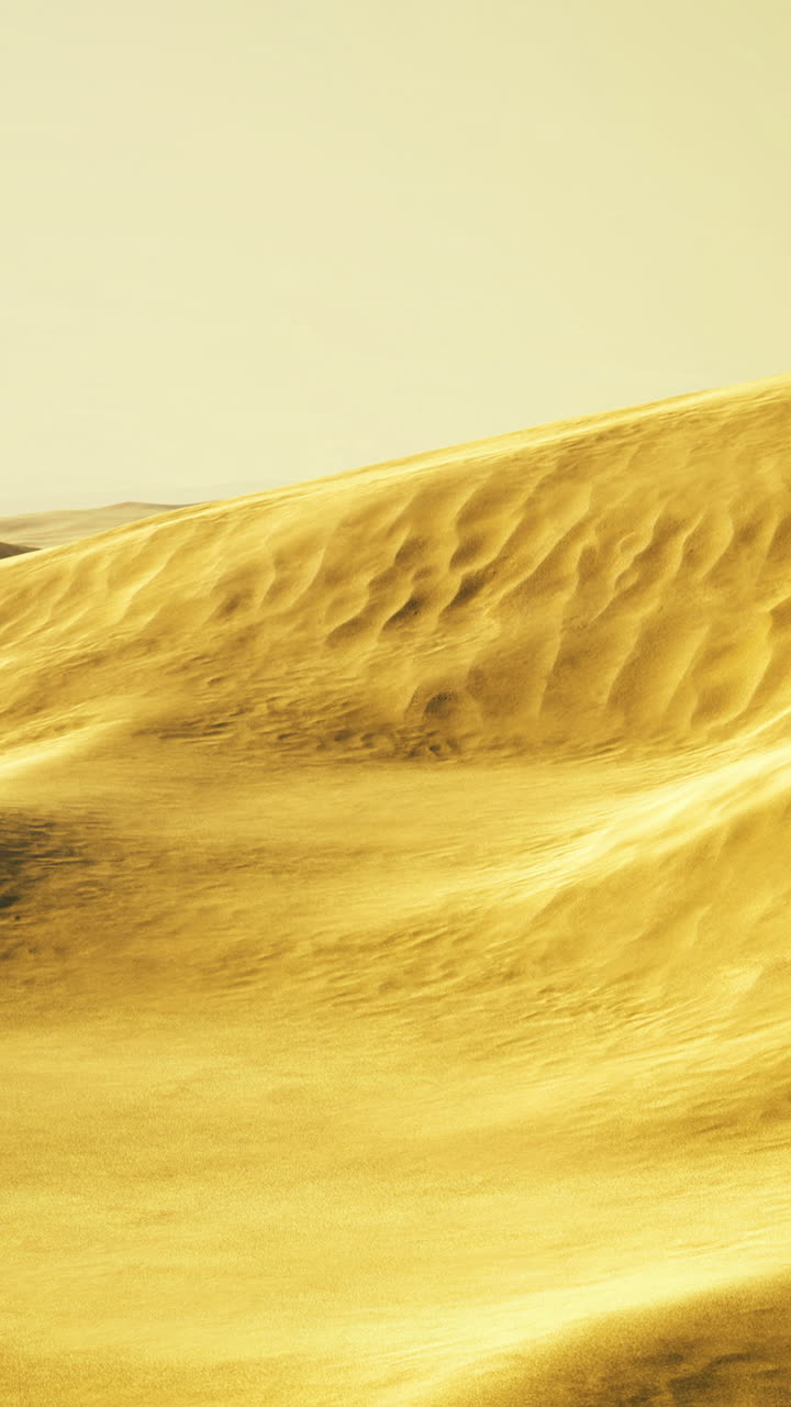 Expansive golden dunes shimmer under a warm sun in a vast desert landscape