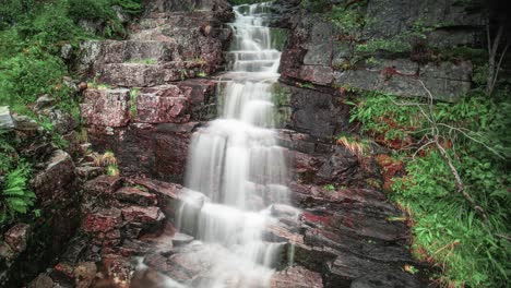 a waterfall surrounded by greenery in the forest cascades over dark stones