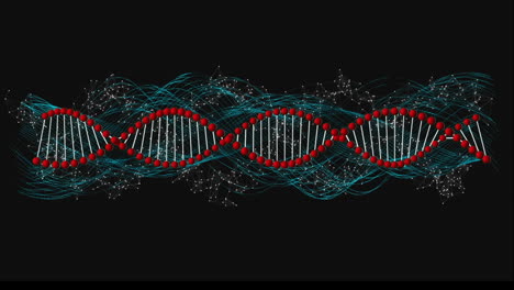 animación de la cadena de adn girando sobre una red de conexiones