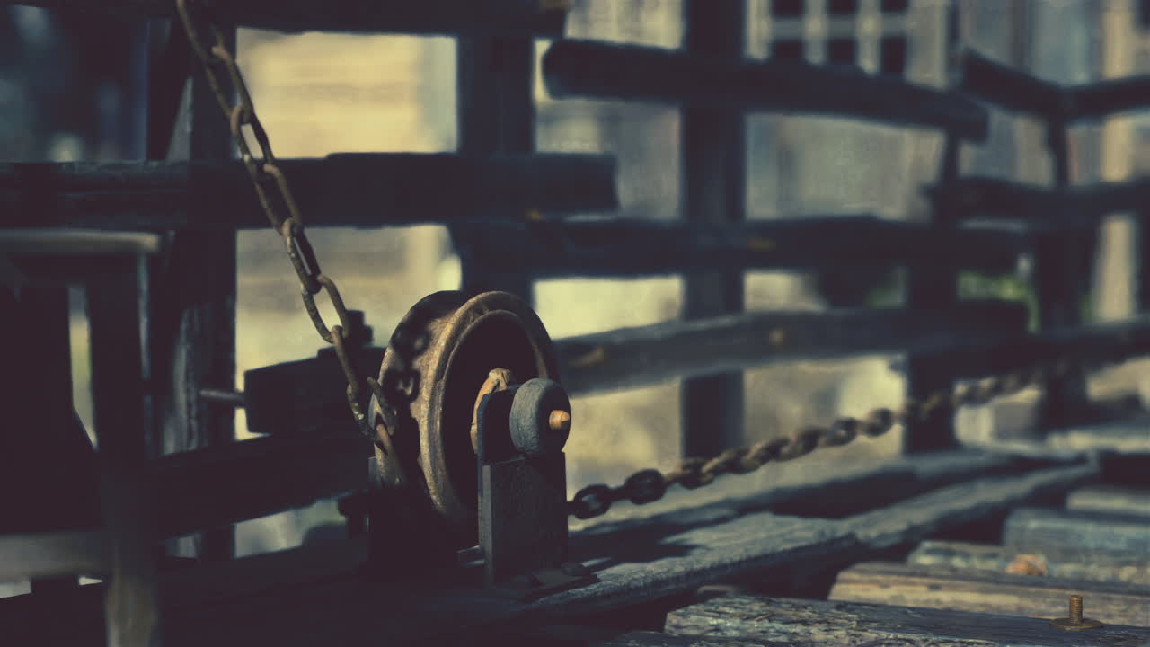 오래된 나무 리 메커니즘