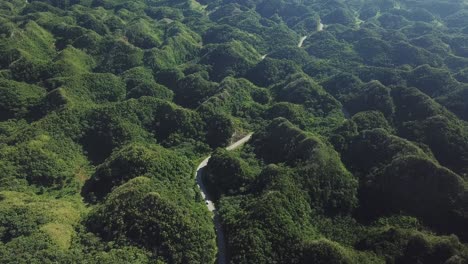 vista aérea de drones de autos en una carretera, en medio de la jungla y las colinas, en el parque nacional los haitises, república dominicana