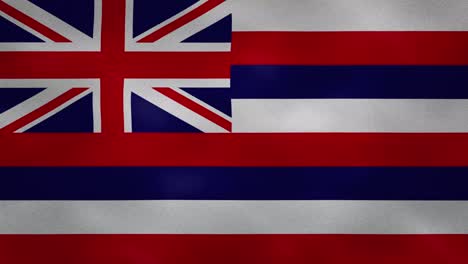la densa tela de la bandera de hawai se agita, el bucle de fondo