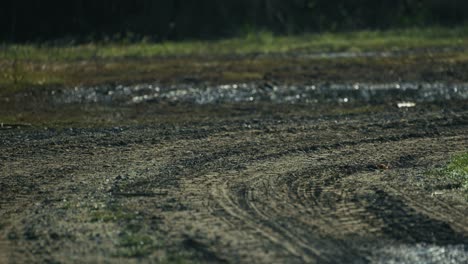 rugged muddy dirt road with deep tire tracks winding through lonjsko polje krapje