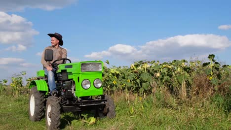 a young farmer with a cap on his head rides a minitractor with an open cab a young farmer with a cap on his head rides a minitractor with an open cab inspects his sunflower plantations agriculture