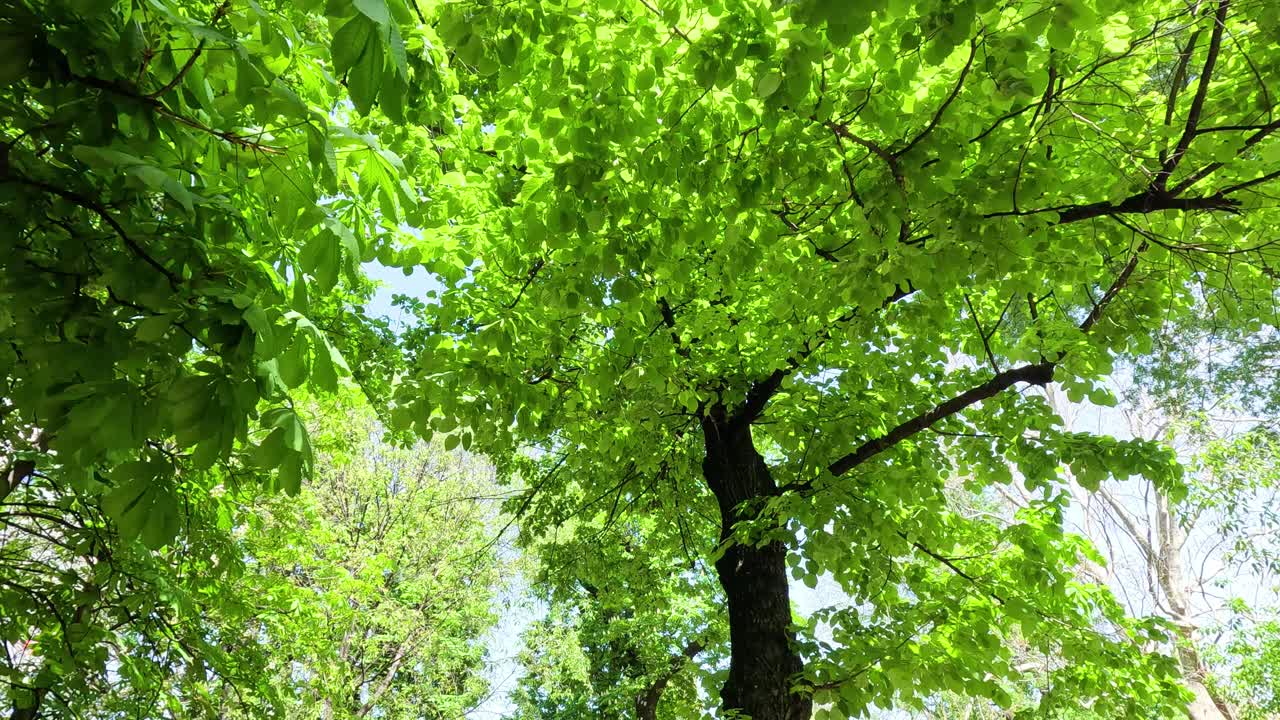 밀라노 에서 이 잘 내리는 날 을 즐기는 사람 들