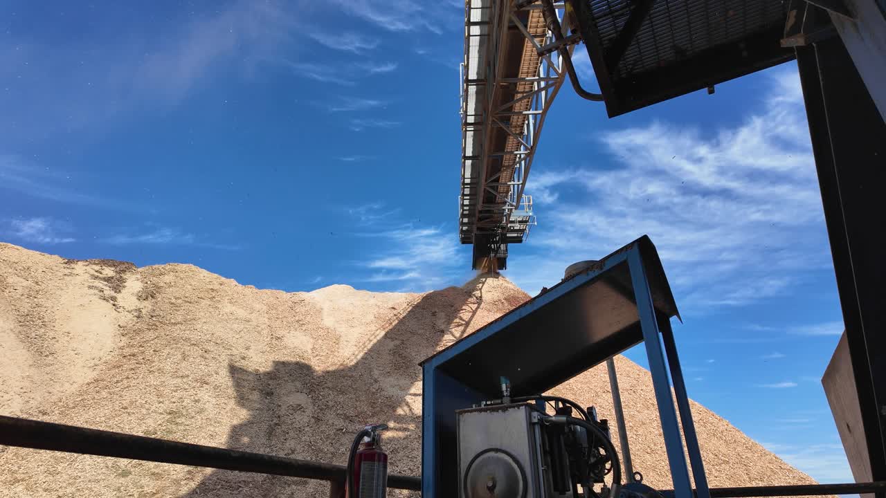 나무 펠 공장 에서 나무  을 움직이는 거대한 컨베이어 벨트