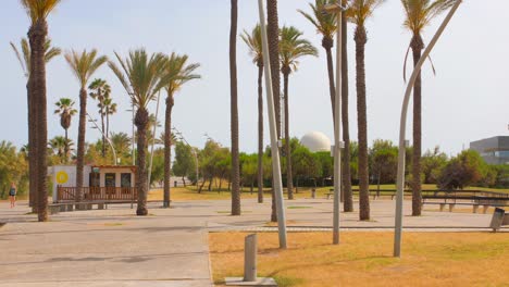 Palmeras-En-El-Parque-Litoral-Con-Planetario-Al-Fondo-En-El-Grao,-Castellon,-España