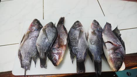 tilapia fish laid out on a kitchen bench ready for meal preparation