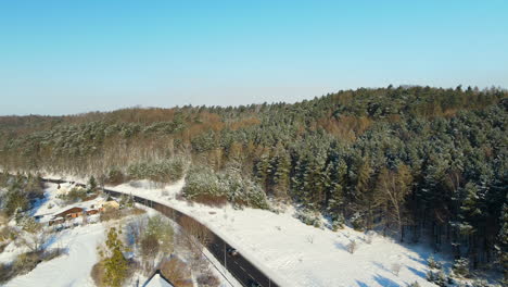 Cars-traveling-on-black-asphalt-road-alongside-pine-forest