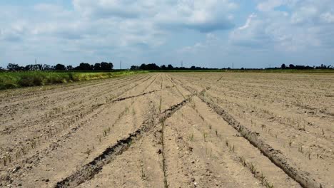 drone fly above dry plowed agricultural land in farm countryside