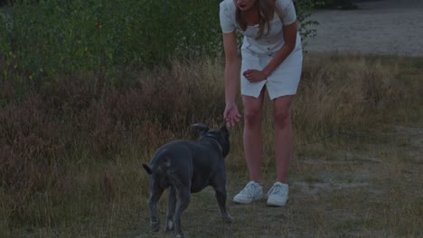 vista media american staffordshire terrier corriendo hacia una mujer atractiva y dándole una pelota