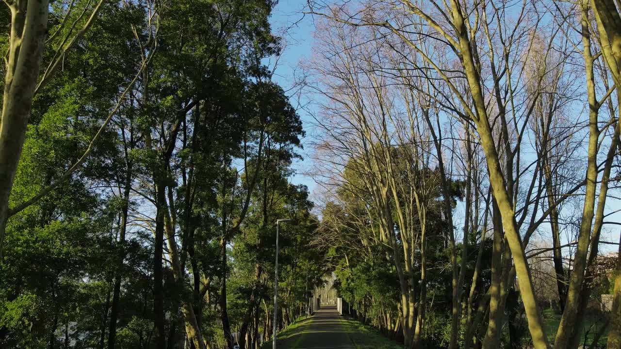 Eco trail in Maia Portugal