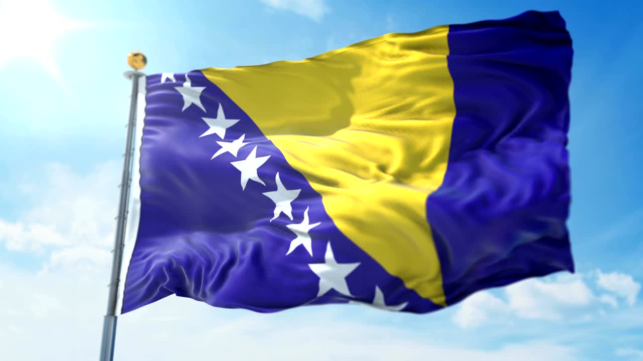 보스니아 헤르체고비나 발의 3d 렌더링 영상