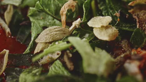 close up view of fried basil, parsley leaves on dish with reveal of texture of carrot