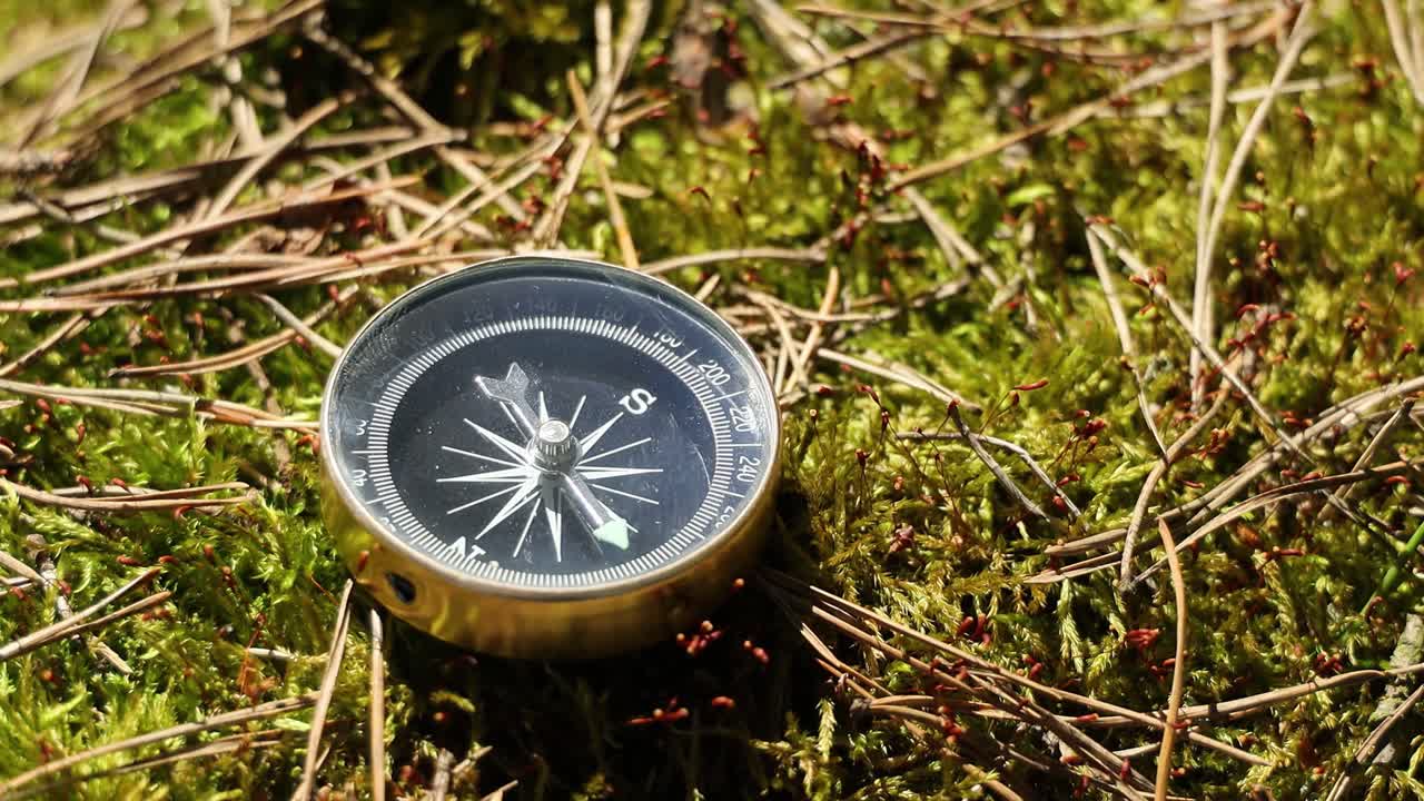 숲 속 의 잔디 에 있는 여행자 나침반