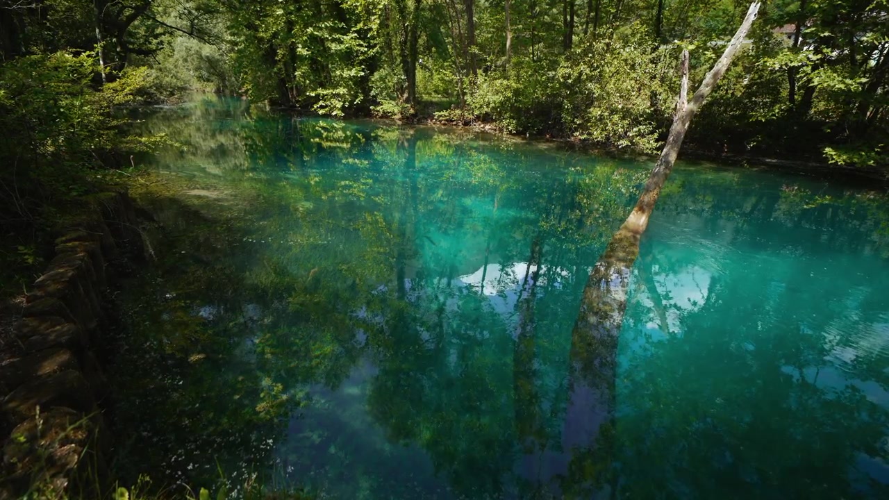 Acqua turchese del fiume, alberi verdi lussureggianti e riflessi del cielo alle Sorgenti della Santissima, Nord Italia