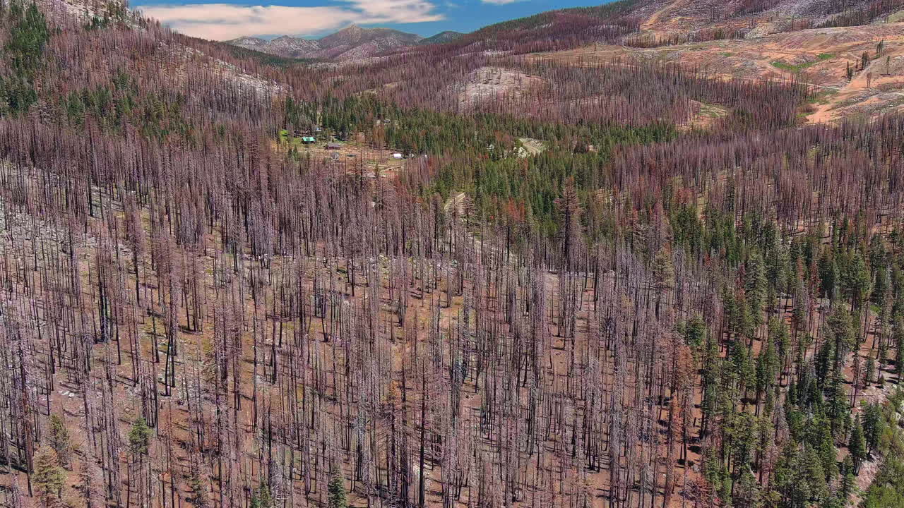 el bosque de eldorado en recuperación 2 años después del incendio de 2021 que quemó 200,000 acres - sobrevuelo aéreo