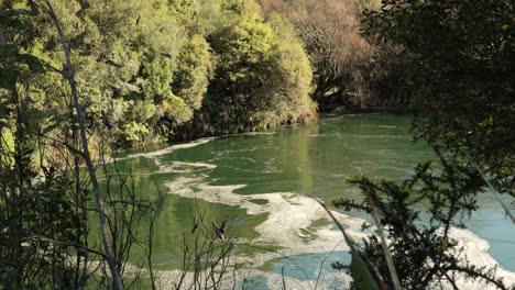 lower end of trout pool rapid on the kaituna river, rotorua new zealand. a popular area for trout fishing.
