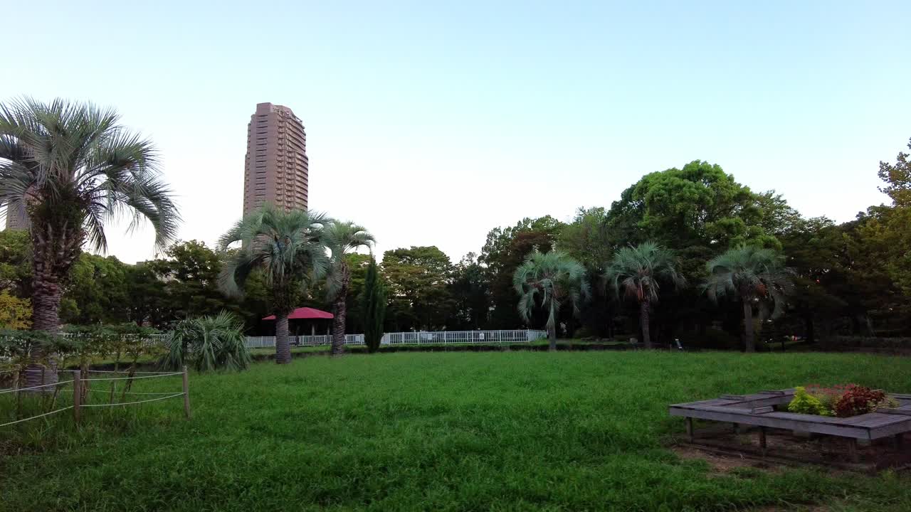 el hermoso parque de tokio.