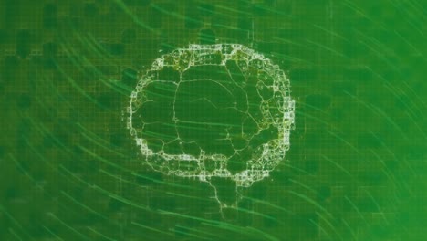 animation of brain over moving green lines on green background